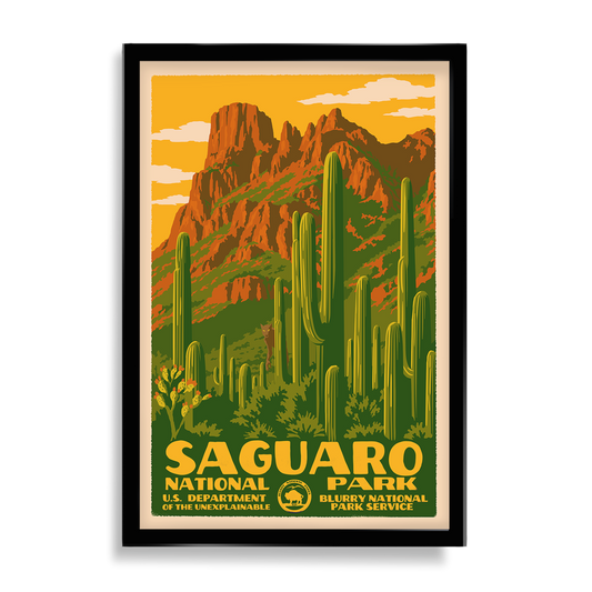 NEW Blurry National Parks: Saguaro (Skinwalker)